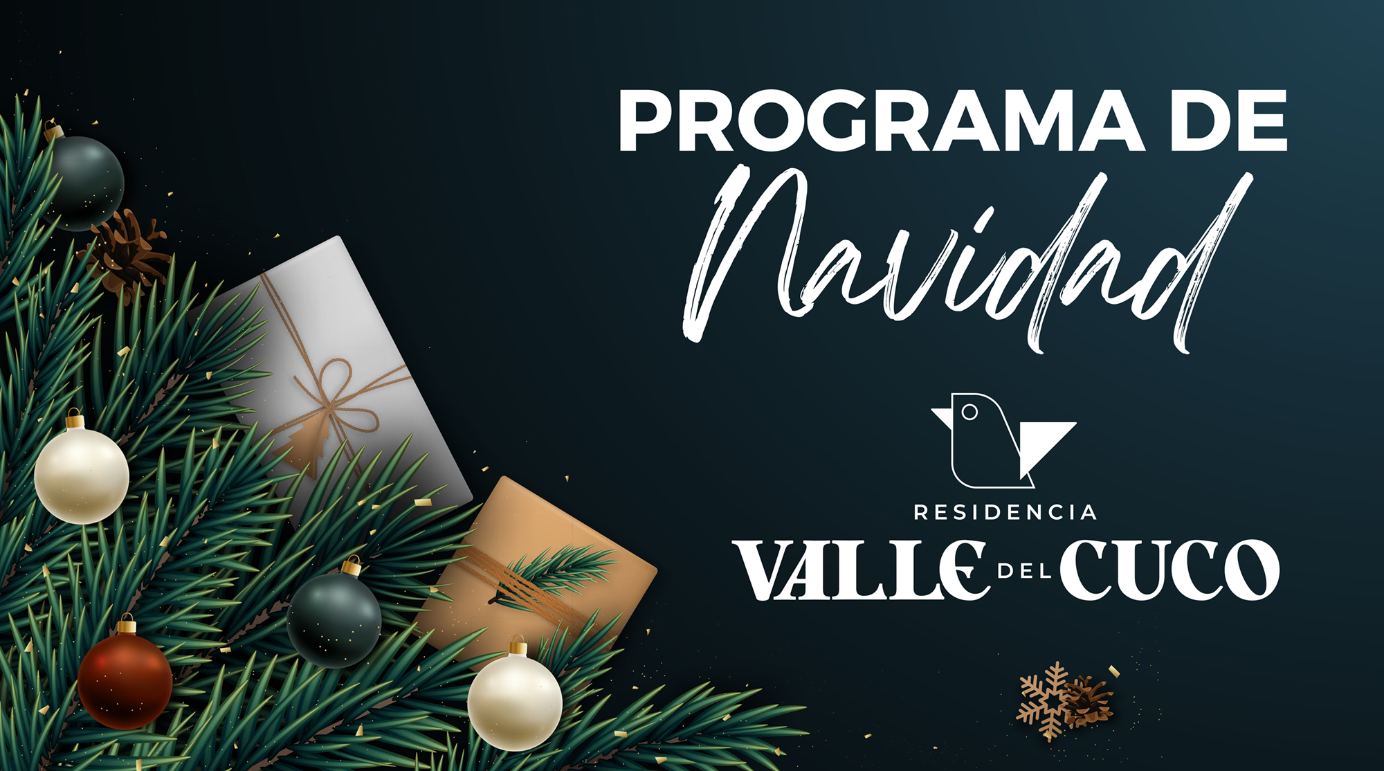 Programa de Navidad